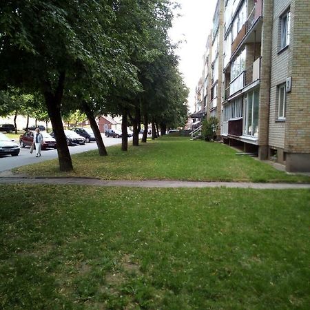 Anykščiai Anykstuko Butas 아파트 외부 사진