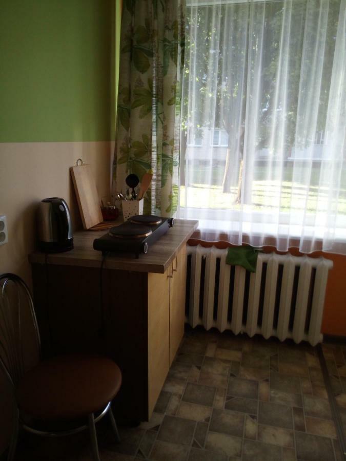 Anykščiai Anykstuko Butas 아파트 외부 사진